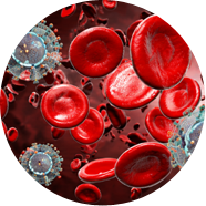 AIDS 후천성면역결핍증
